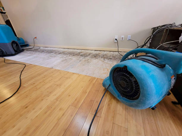 Professional Water Removal technician working in Hayesville, OH